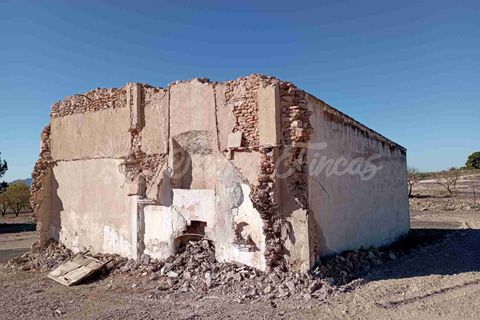 Finca i Caudete, Albacete, Caudete - € 29.995 | Ref: SF0480 - foto 3